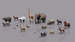 3d asset là gì