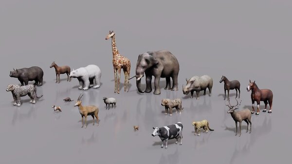 3d asset là gì